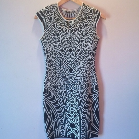 RVN Geometric Jacquard Sheath Dress - Picture 2 of 3